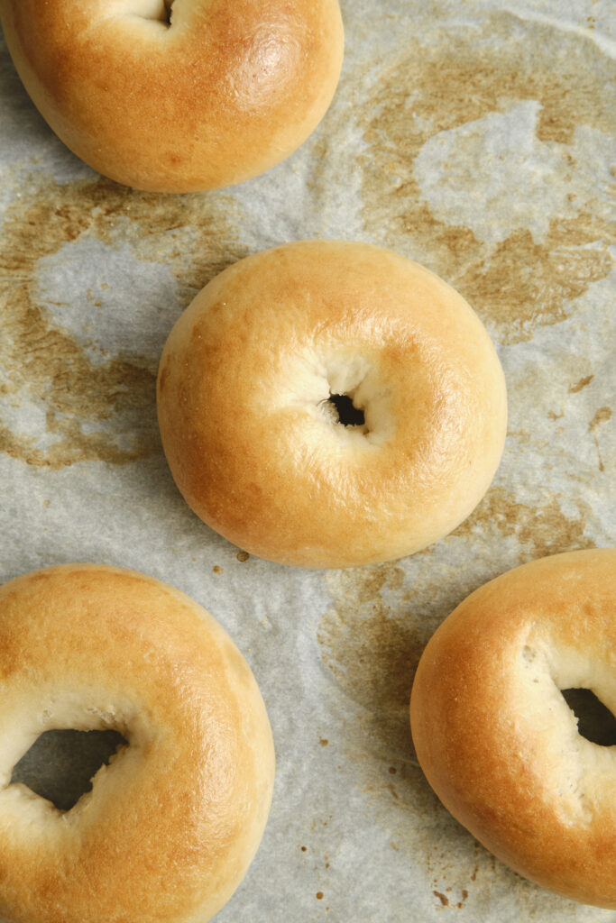 Golden plain bagels freshly baked and resting on a cooling rack.