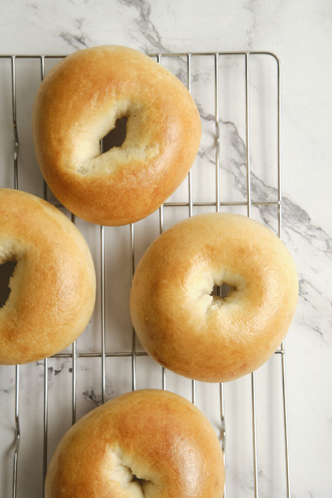 Golden plain bagels freshly baked and resting on a cooling rack.