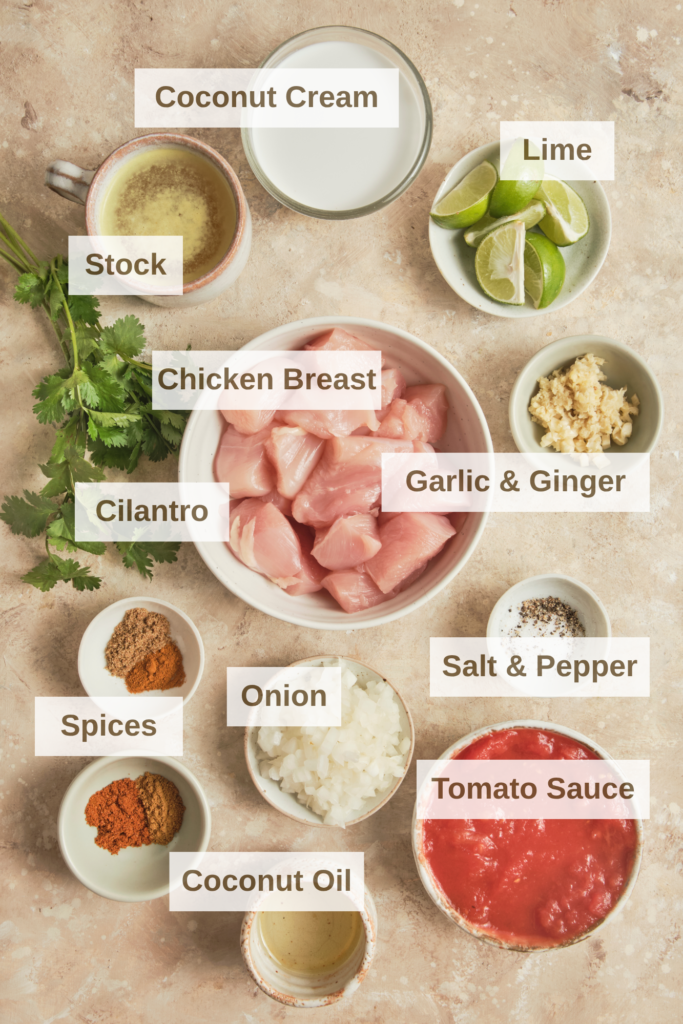 Ingredients needed to make Easy Coconut Chicken Curry