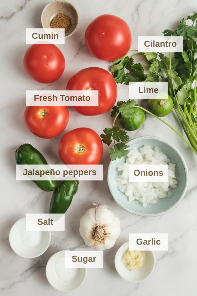 Fresh ingredients for homemade salsa including ripe tomatoes, jalapeño peppers, lime, cilantro, garlic, and onions—base for a fresh tomato salsa recipe made from fresh tomatoes.